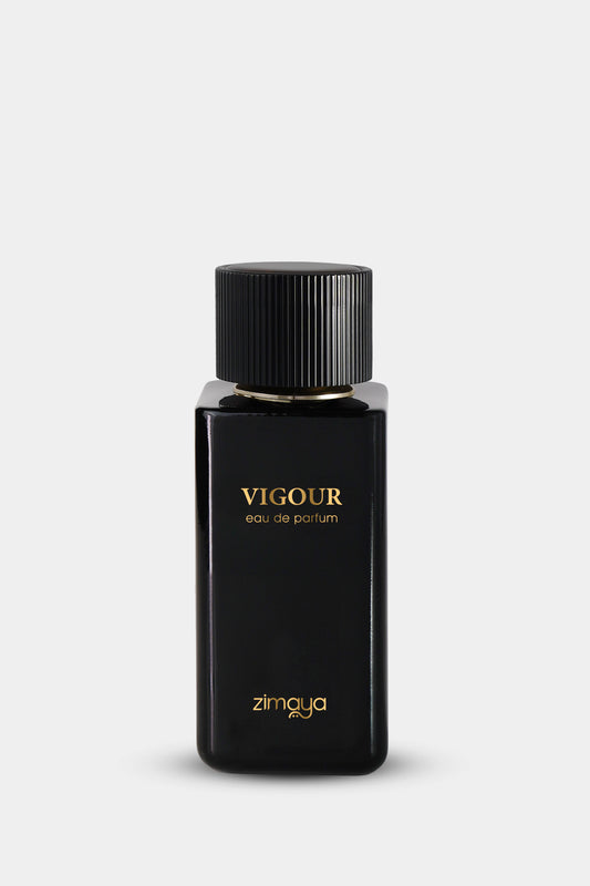 VIGOUR EDP 100ML